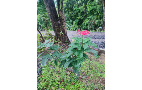 Réunion Annuelle 2024